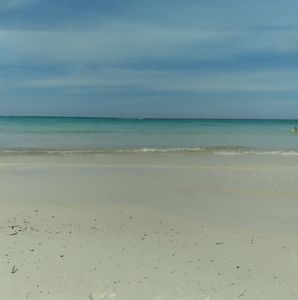 Meet your Posher, Patty